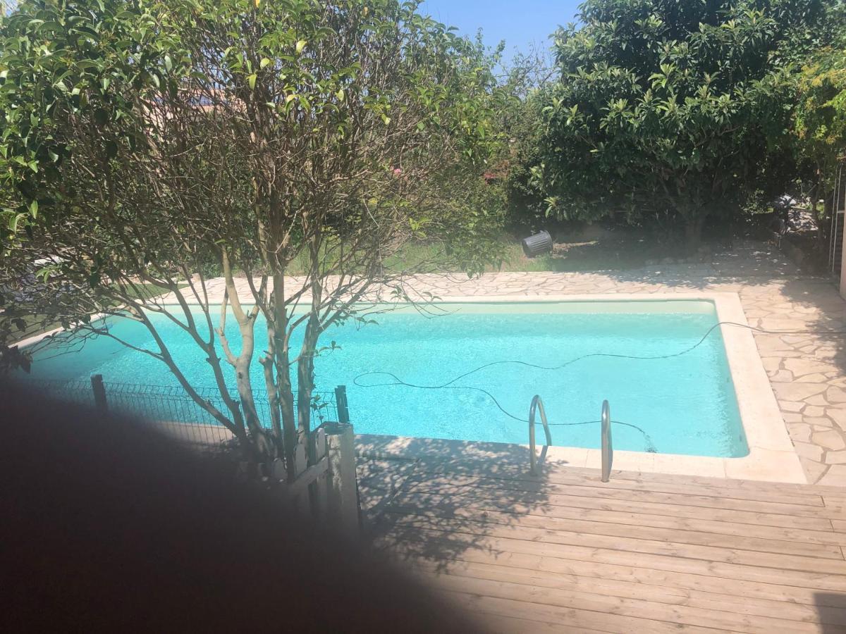 Agreable Chambre Du Rucher Natur'Aile Montagnac  Exterior foto